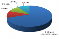 2016年深圳法院知识产权司法保护白皮书及十大知识产权典型案例